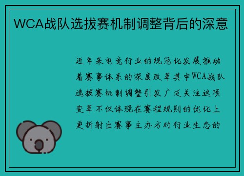 WCA战队选拔赛机制调整背后的深意