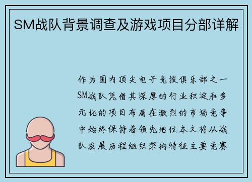 SM战队背景调查及游戏项目分部详解